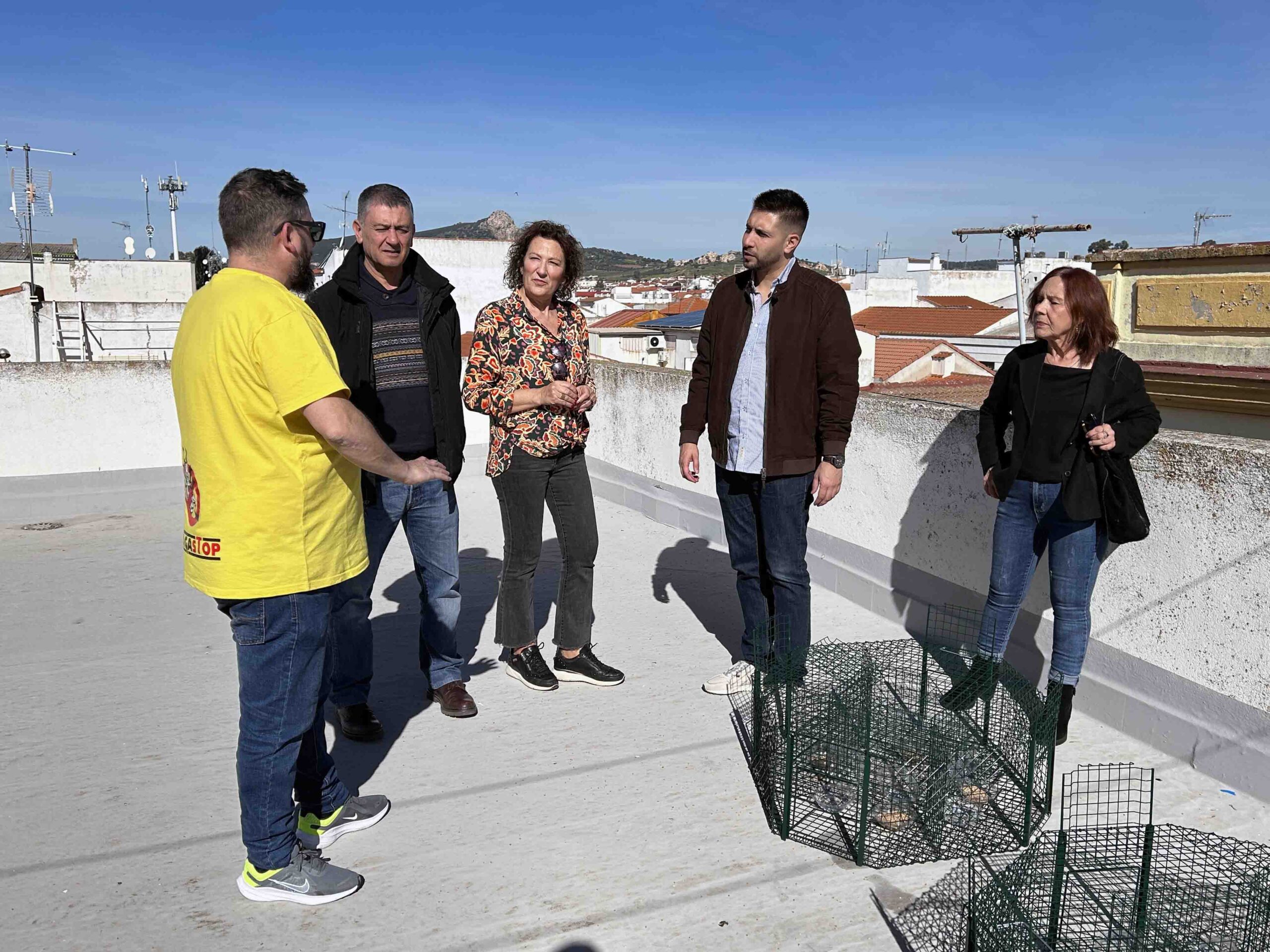 El Ayuntamiento de Peñarroya-Pueblonuevo emplea el método de captura para controlar la población de palomas