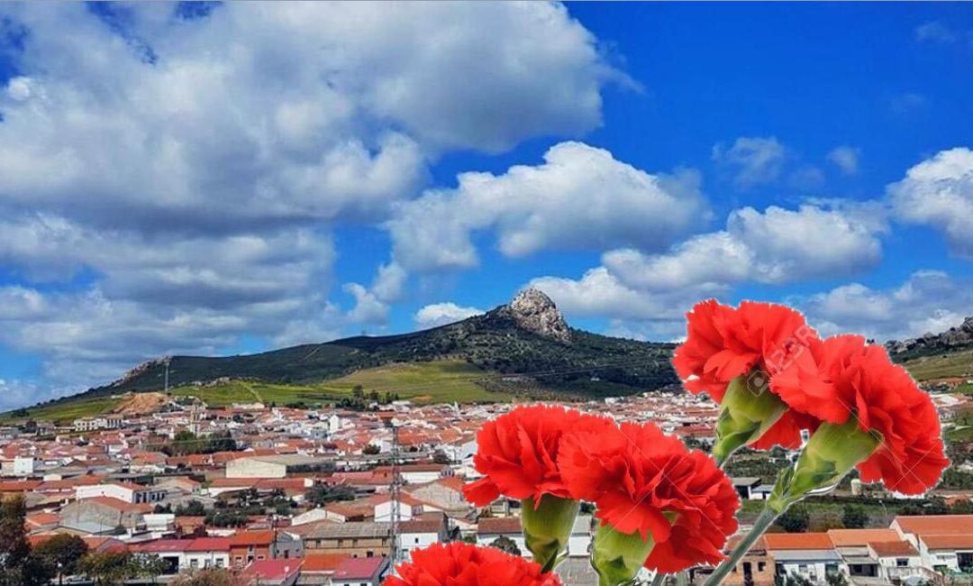 Cinco claveles rojos