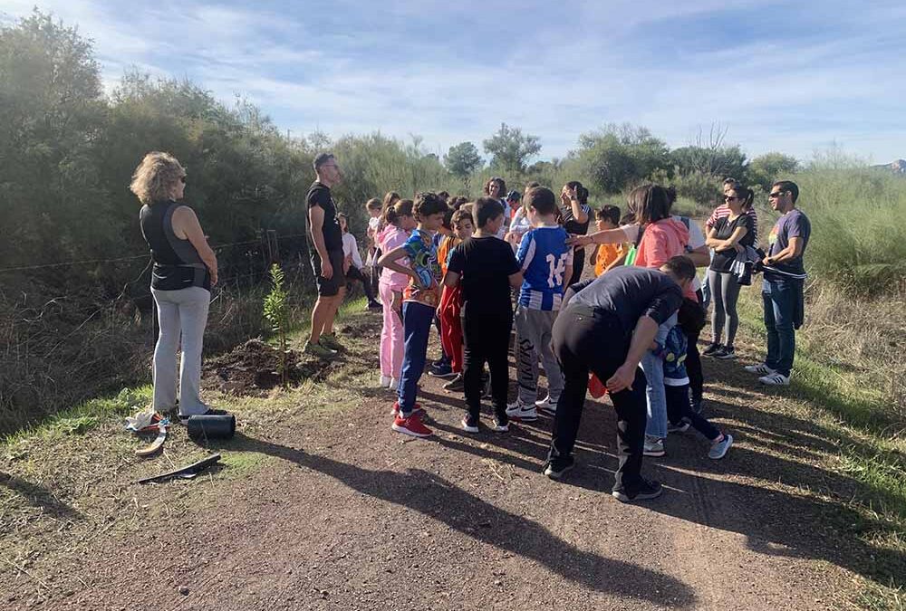 Plantación de madroños en la Vía Verde del Guadiato con motivo de un cumpleaños