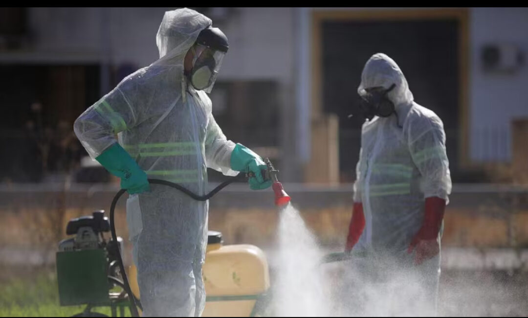 Confirman un nuevo caso de virus del Nilo en Villanueva del Rey mientras los contagios aumentan en Andalucía