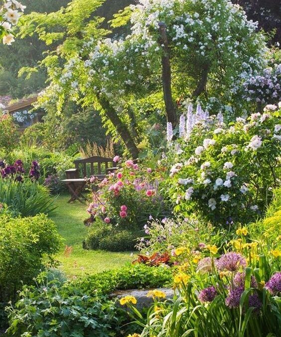 LAS FLORES INCAUTADAS EN MI JARDÍN