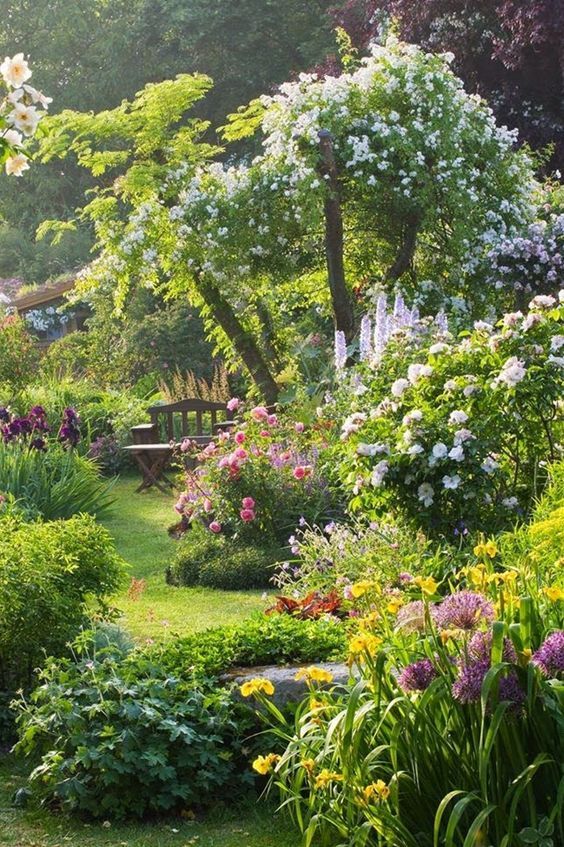 Jardin