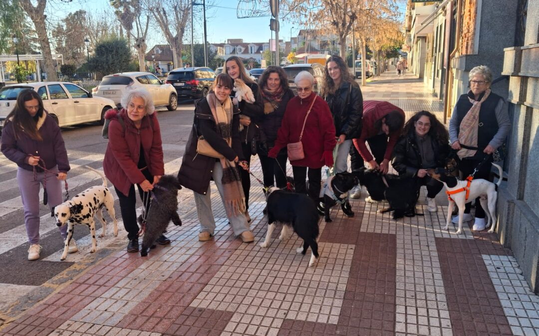 Peñarroya-Pueblonuevo celebra San Antón 2025 con unión vecinal y costumbre