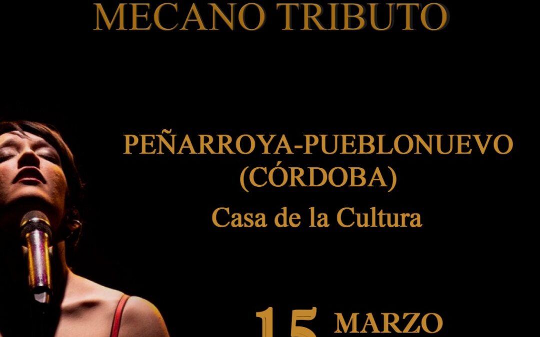 Entradas a la venta para el tributo a Mecano «Aidalai» en la Casa de la Cultura