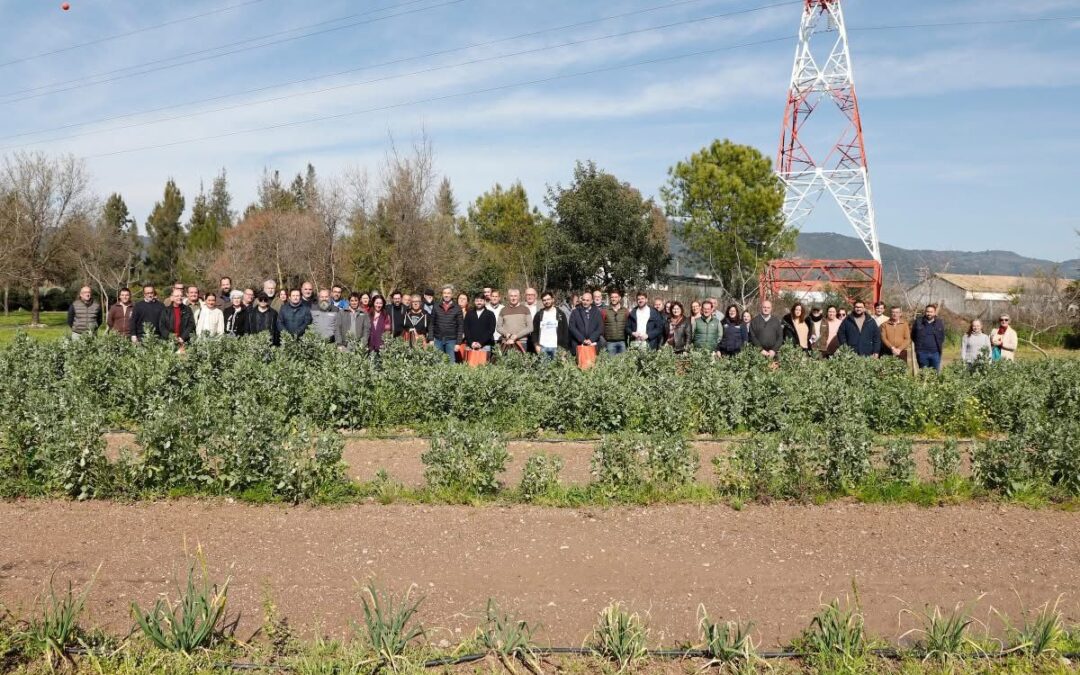 La Diputación entrega 20.000 lotes de semillas de variedades hortícolas autóctonas a hortelanos de toda la provincia