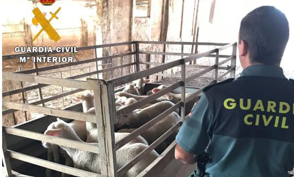 Imagen de archivo de una operación de la guardia Civil en Córdoba
