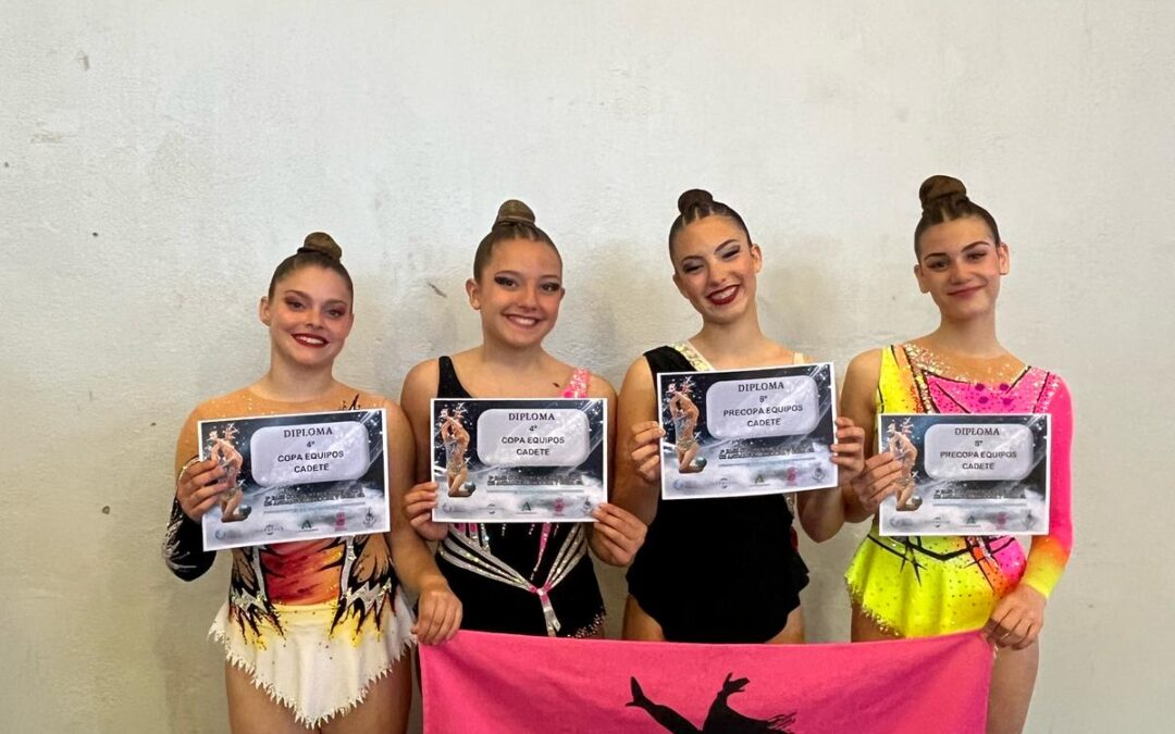 Gran actuación del Club Gimnasia Rítmica Alto Guadiato en el Campeonato de Andalucía