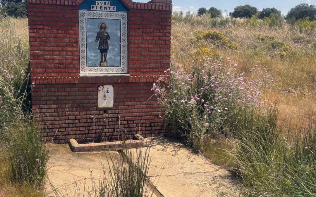 Multitudinaria romería en Peñarroya entre pastos altos y buena comida