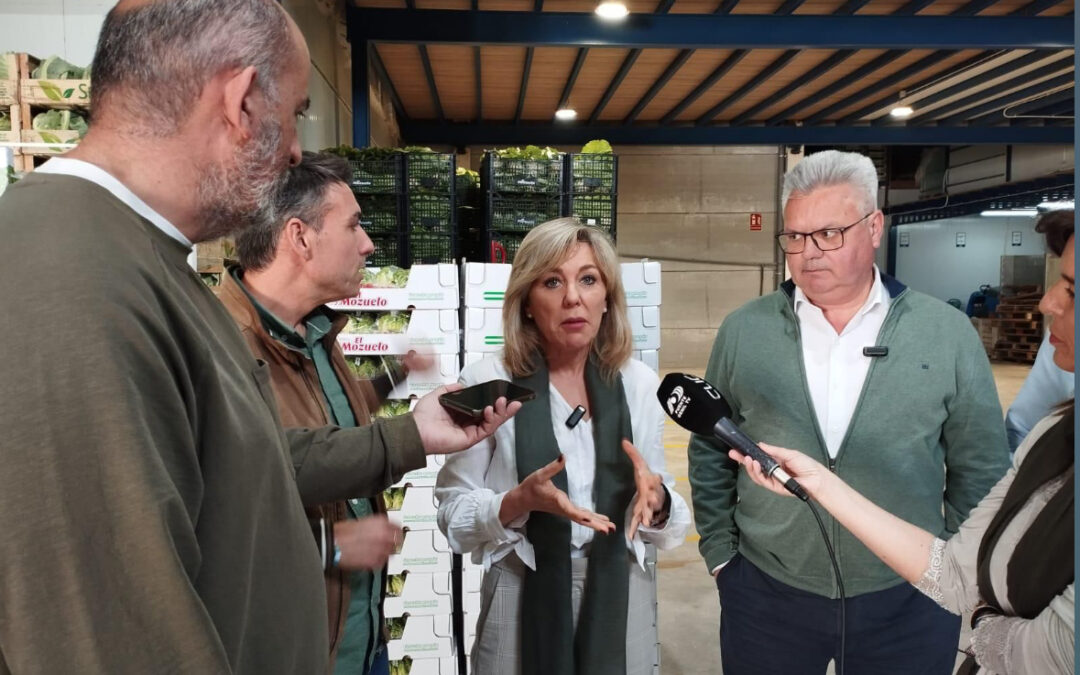 Romero defiende la rebaja fiscal de 1.000 millones al campo y critica al PP por no apoyar medidas urgentes para el sector agropecuario