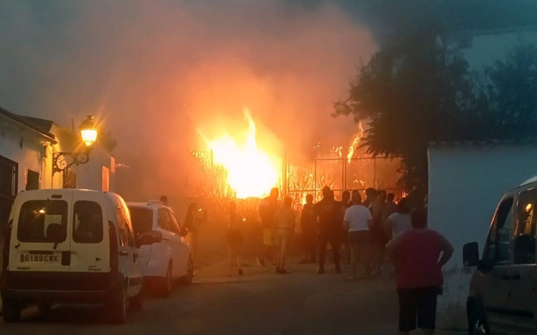 Extinguido un aparatoso incendio en Peñarroya tras afectar a las proximidades de calles y un olivar cercano
