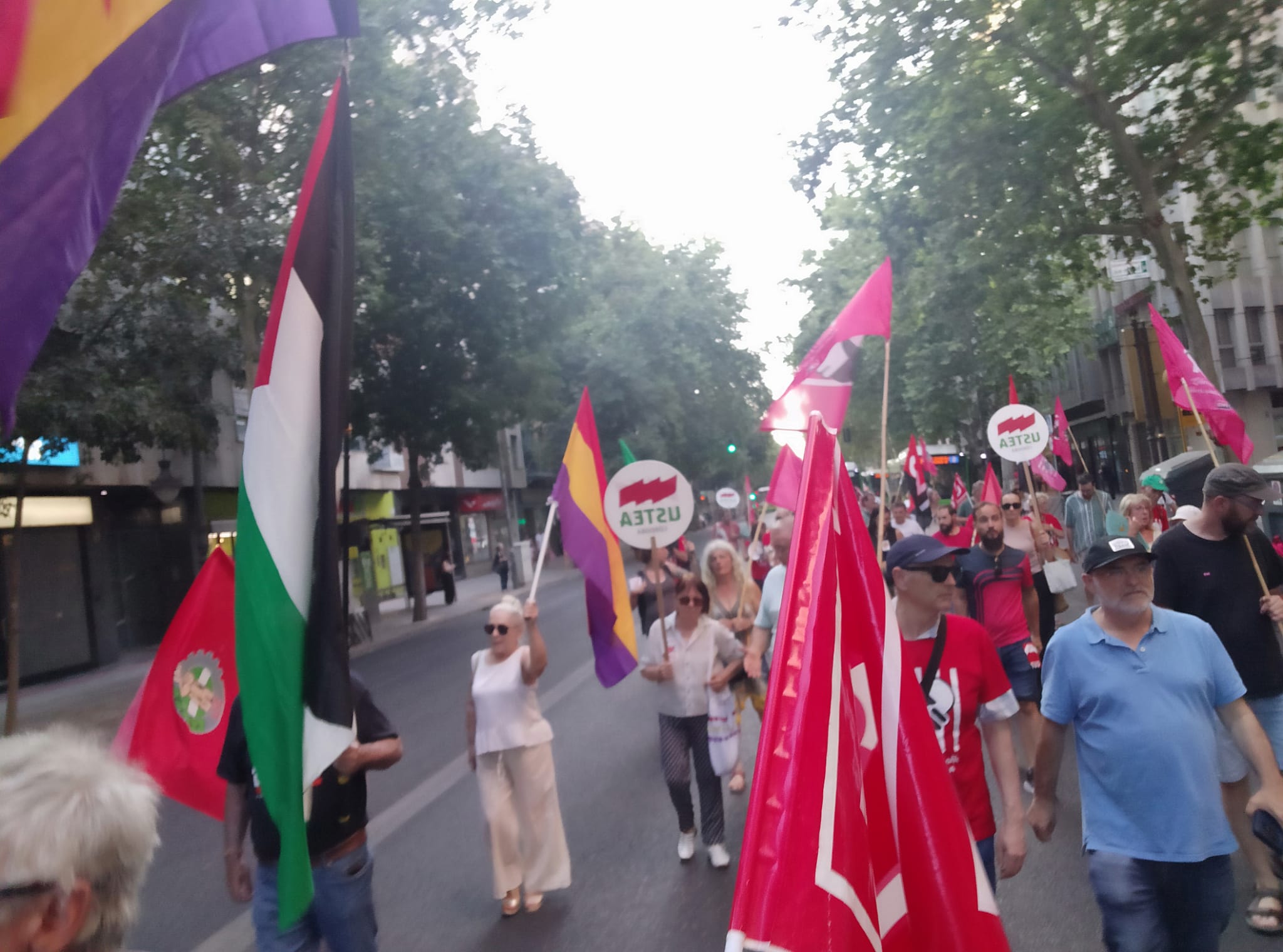 Manifestación 1