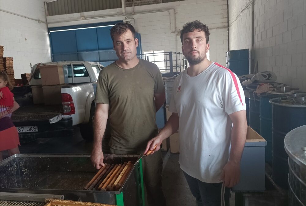  Miel del Guadiato: un producto puro y de calidad desde el corazón del valle