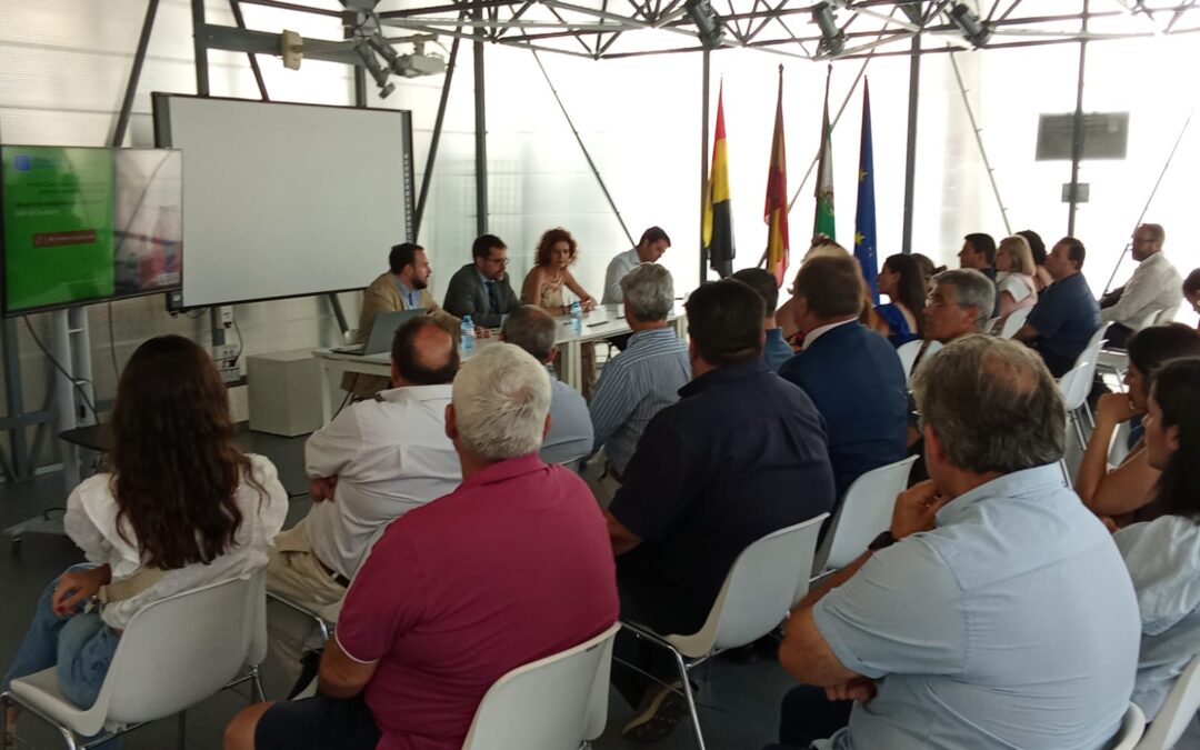 Impulso económico para el Valle del Guadiato: incentivos para el desarrollo industrial sostenible tras el cierre de la Central Térmica de Puentenuevo