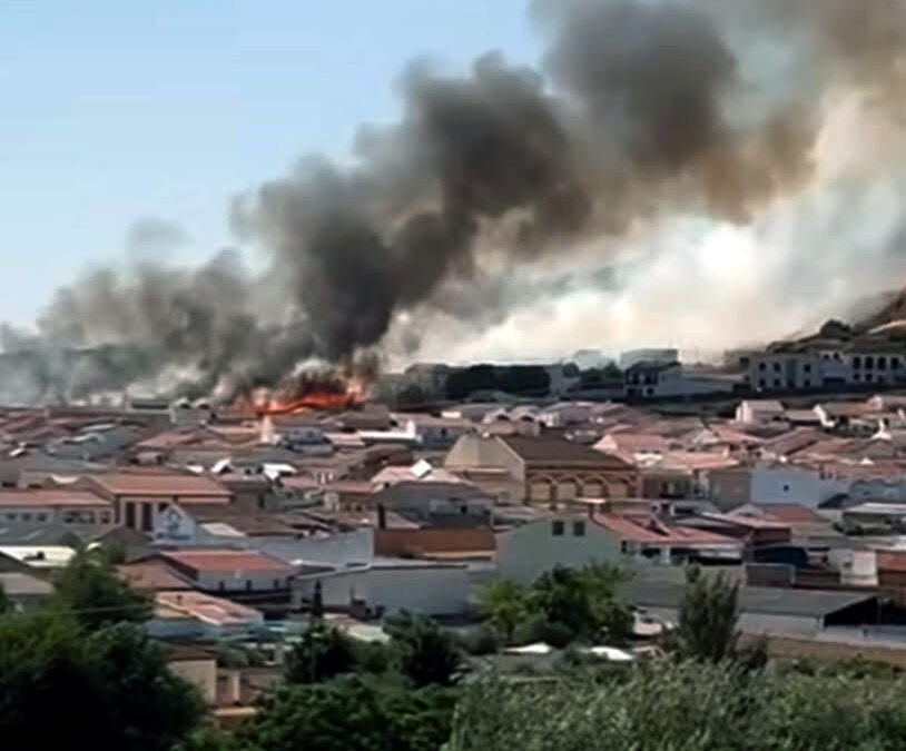 Vecinos denuncian un incendio junto al Peñón por acumulación de rastrojos: “Las ratas son como conejos”