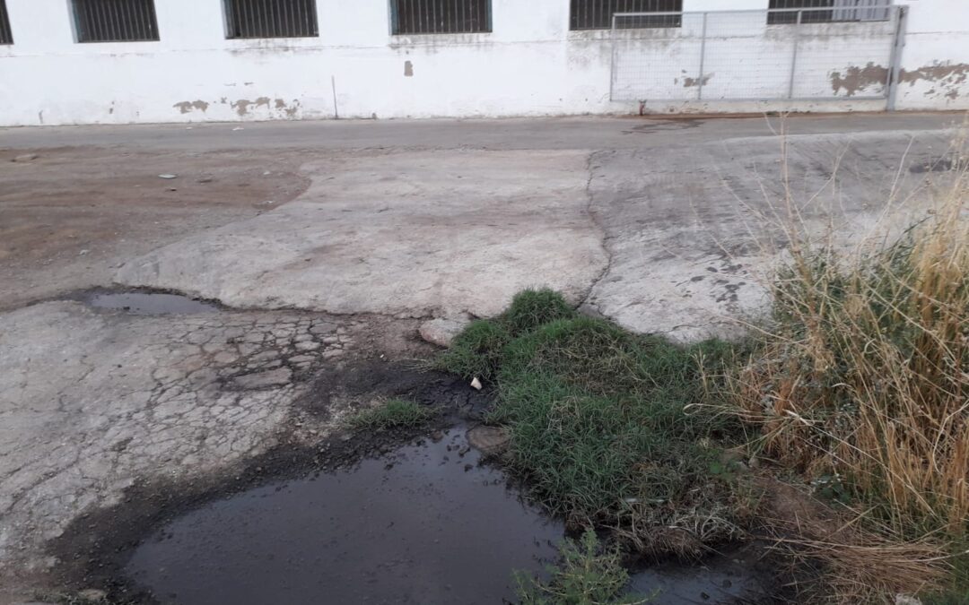 Repugnantes charcos de purines rodean el matadero municipal de Peñarroya-Pueblonuevo