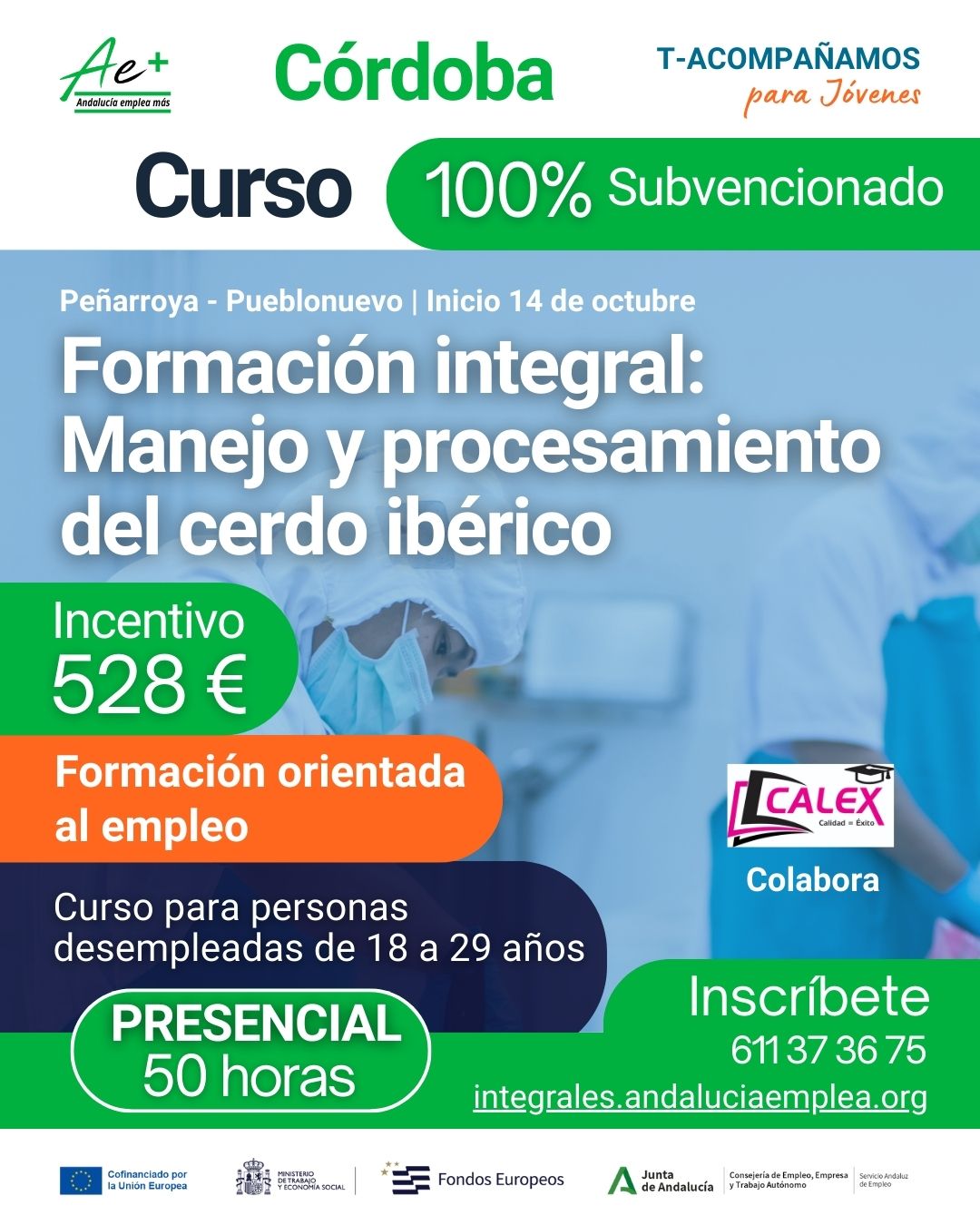 Curso