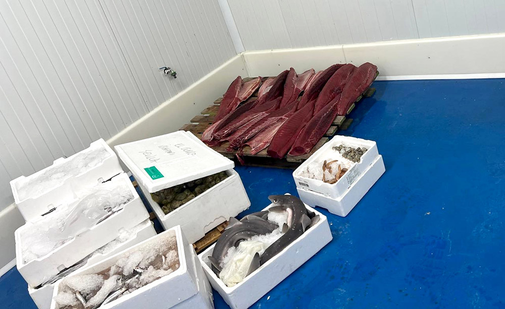Inspección Pesquera de la Junta y Seprona intervienen más de una tonelada de productos sin garantías de seguridad para su consumo