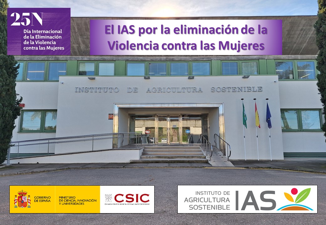 Imagen_25 N IAS_2025