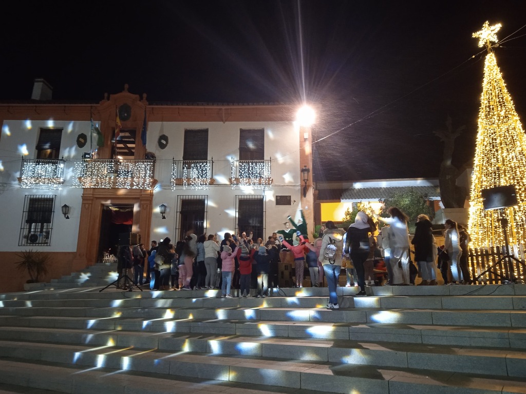 Alumbrado de navidad (2)