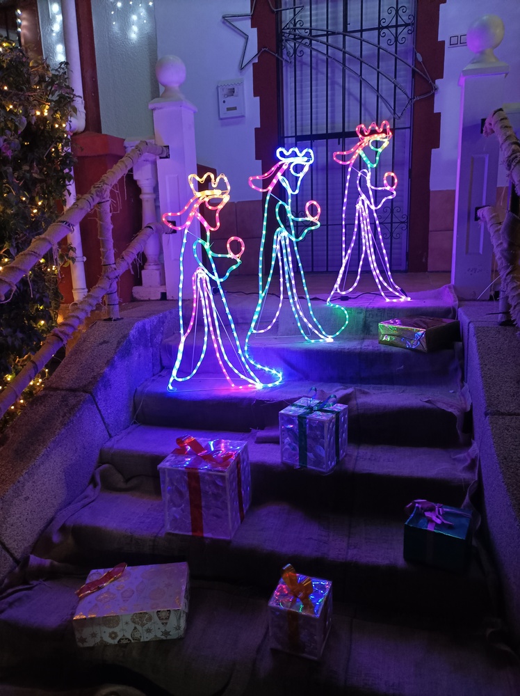 Encendido del Alumbrado Navideño (3)