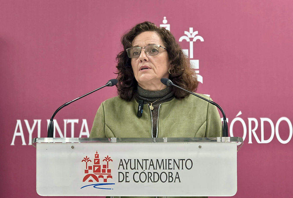 EL PSOE EXIGE A BELLIDO EL MISMO COMPROMISO QUE EL GOBIERNO DE ESPAÑA: SUBVENCIONAR OTRO 20% EL BILLETE DE AUCORSA