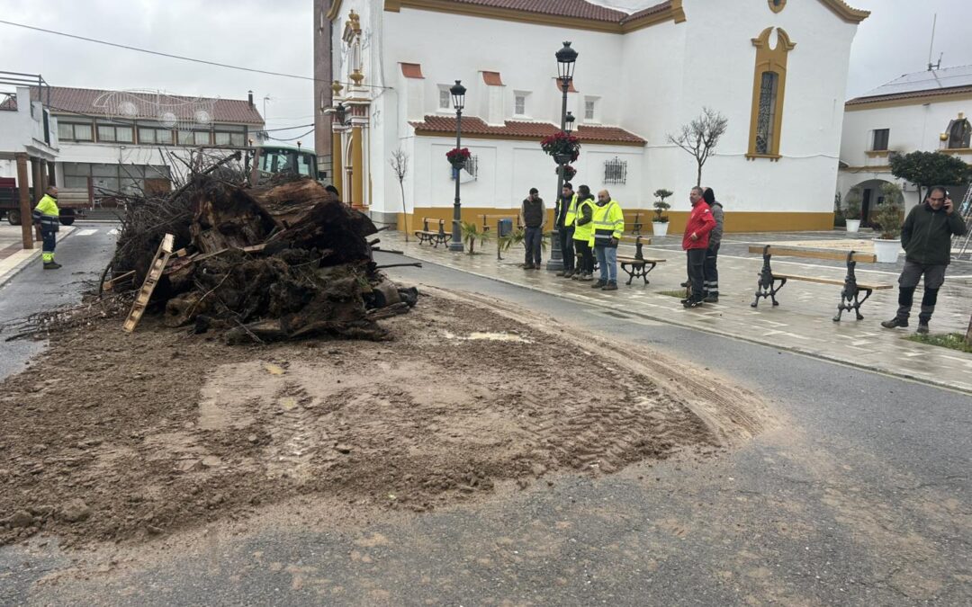 Valsequillo vive una entrañable Tardebuena alrededor de su tradicional Candelorio