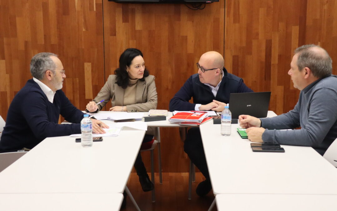 Crespín asume las propuestas de Satse para reforzar la sanidad pública en Córdoba