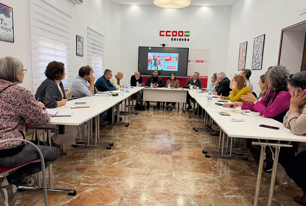 IU Córdoba valora la rectificación del Gobierno y la reserva de 100 millones para reforzar la infraestructura eléctrica en el norte de la provincia