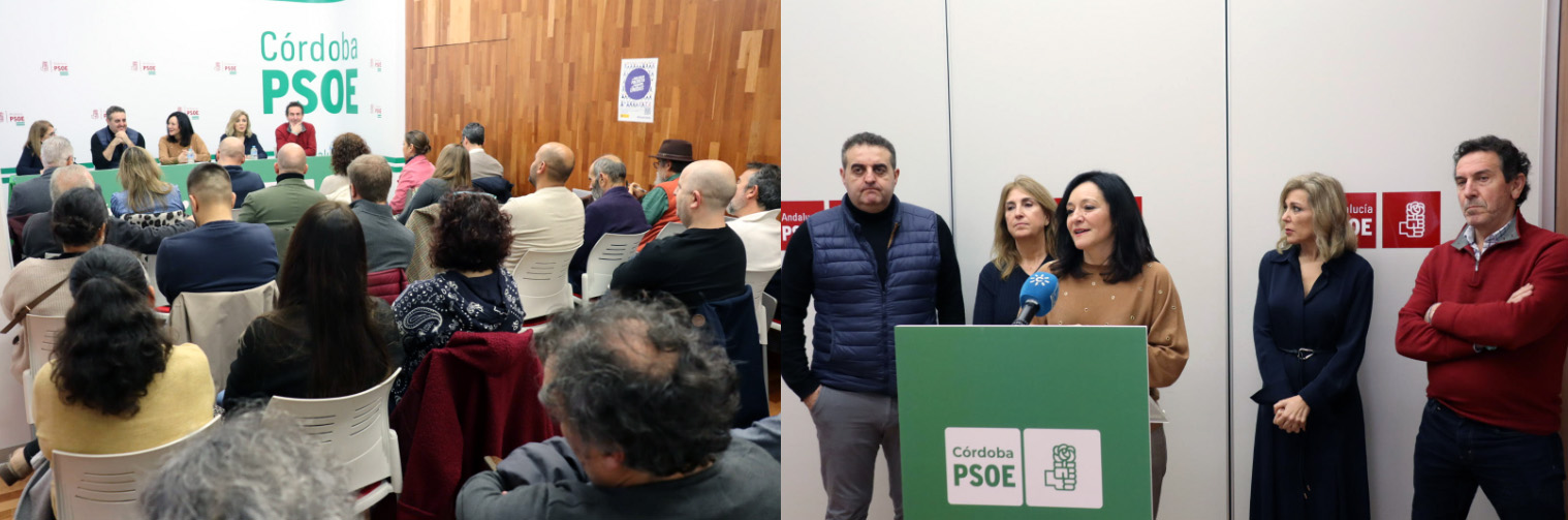 PSOE- UPA