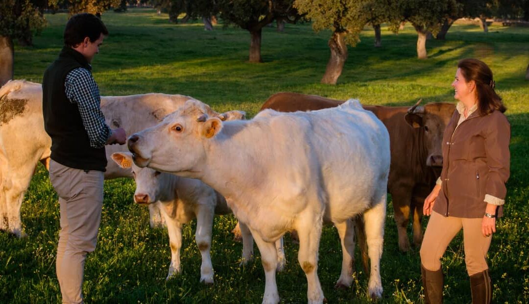 Los institutos del Valle del Guadiato y Los Pedroches participan en Agroinnova, un programa educativo para acercar el campo a las aulas