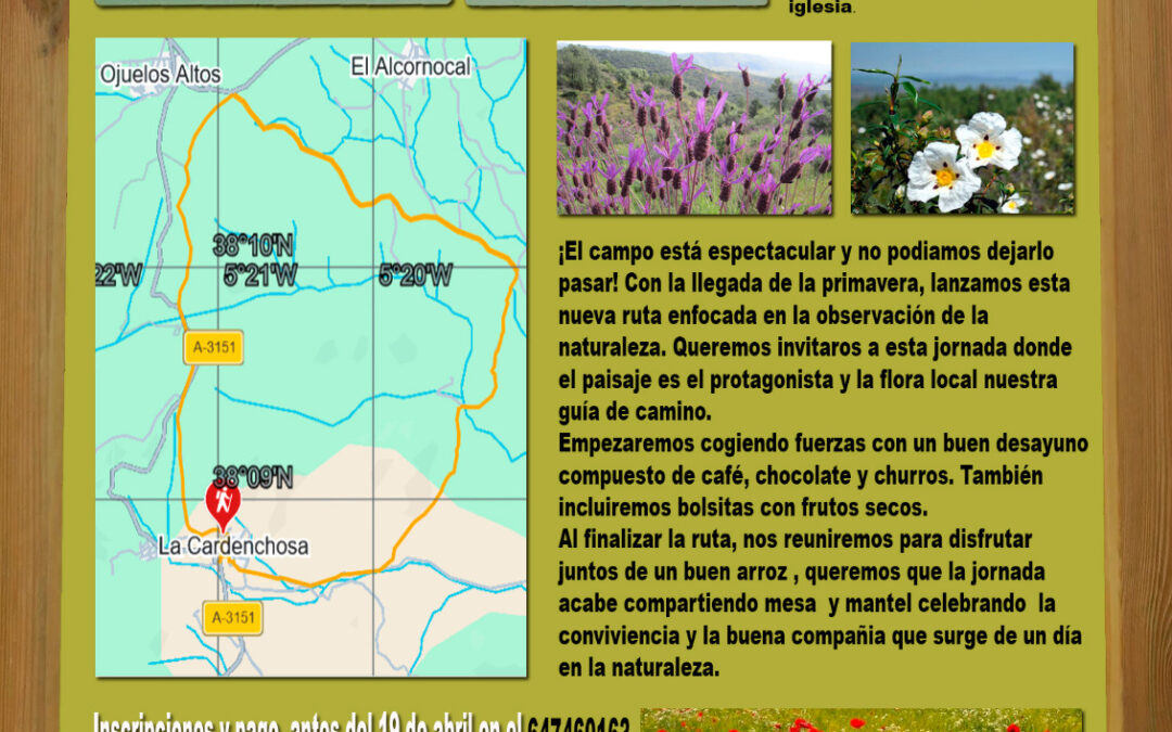 La Cardenchosa se prepara para la II Ruta de Senderismo “Primavera”