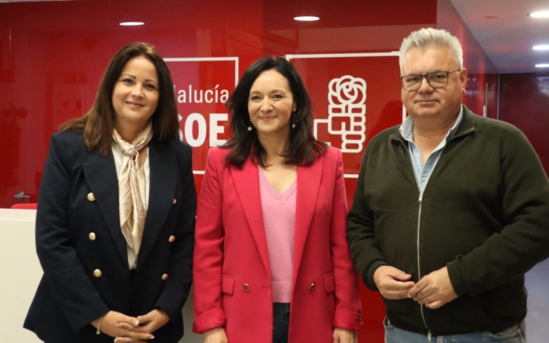 SILVIA MELLADO, ESTEBAN MORALES, VICTORIA FERNÁNDEZ, MARIANO POYATO Y ANA ISABEL TORRALBO ENCABEZAN LA LISTA SOCIALISTA DE CÓRDOBA PARA LAS ELECCIONES ANDALUZAS DEL 17-M