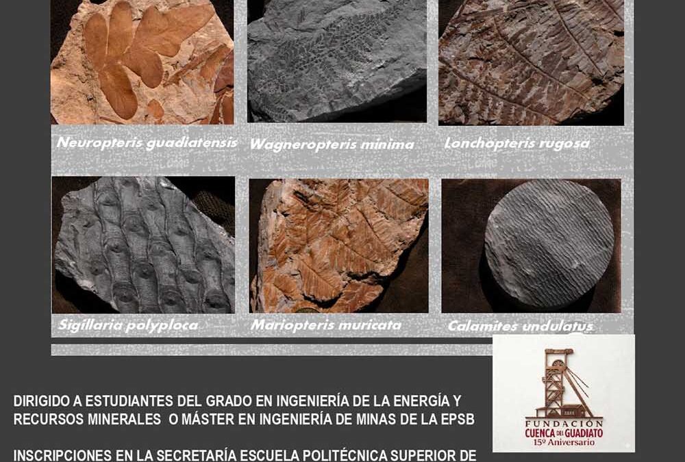Expertos y estudiantes participarán en un taller de identificación de fósiles en el Pozo Aurora de Belmez