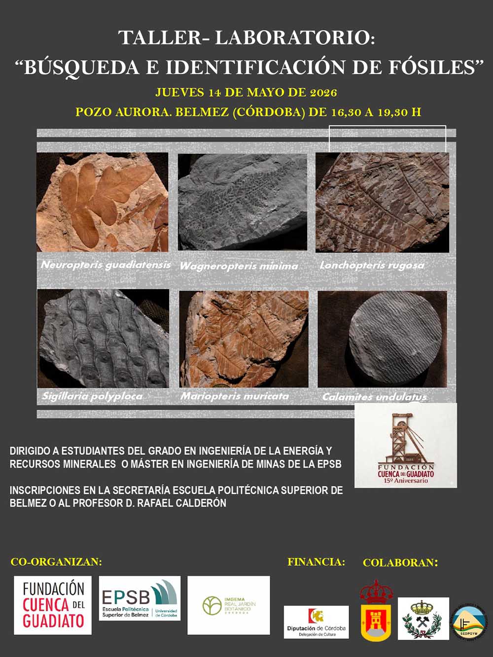 CARTEL FÓSILES AURORA_page-0001