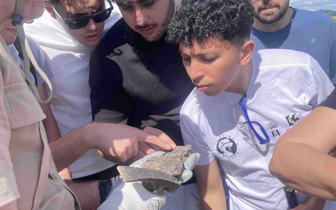 Futuros Graduados de Minas exploran el patrimonio paleontológico del Guadiato en el Pozo Aurora