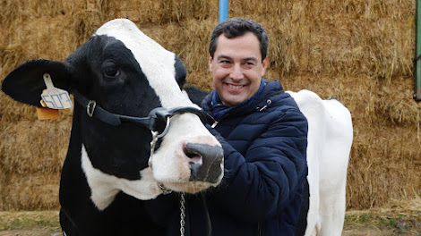 Moreno y la vaca en la campaña de 2018.