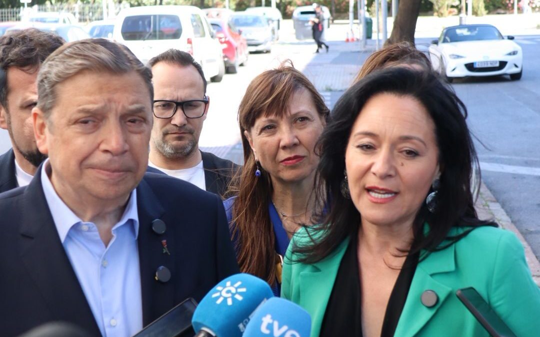 PLANAS Y CRESPÍN APELAN A LA MOVILIZACIÓN DEL VOTO SOCIALISTA PARA “RECUPERAR LA ANDALUCÍA DEL PROGRESO Y LOS SERVICIOS PÚBLICOS”