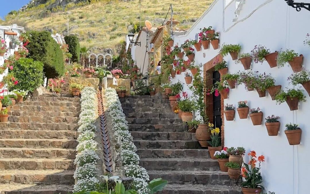 La Diputación da a conocer los ganadores del XI Concurso de Patios, Rincones y Rejas de la Provincia de Córdoba