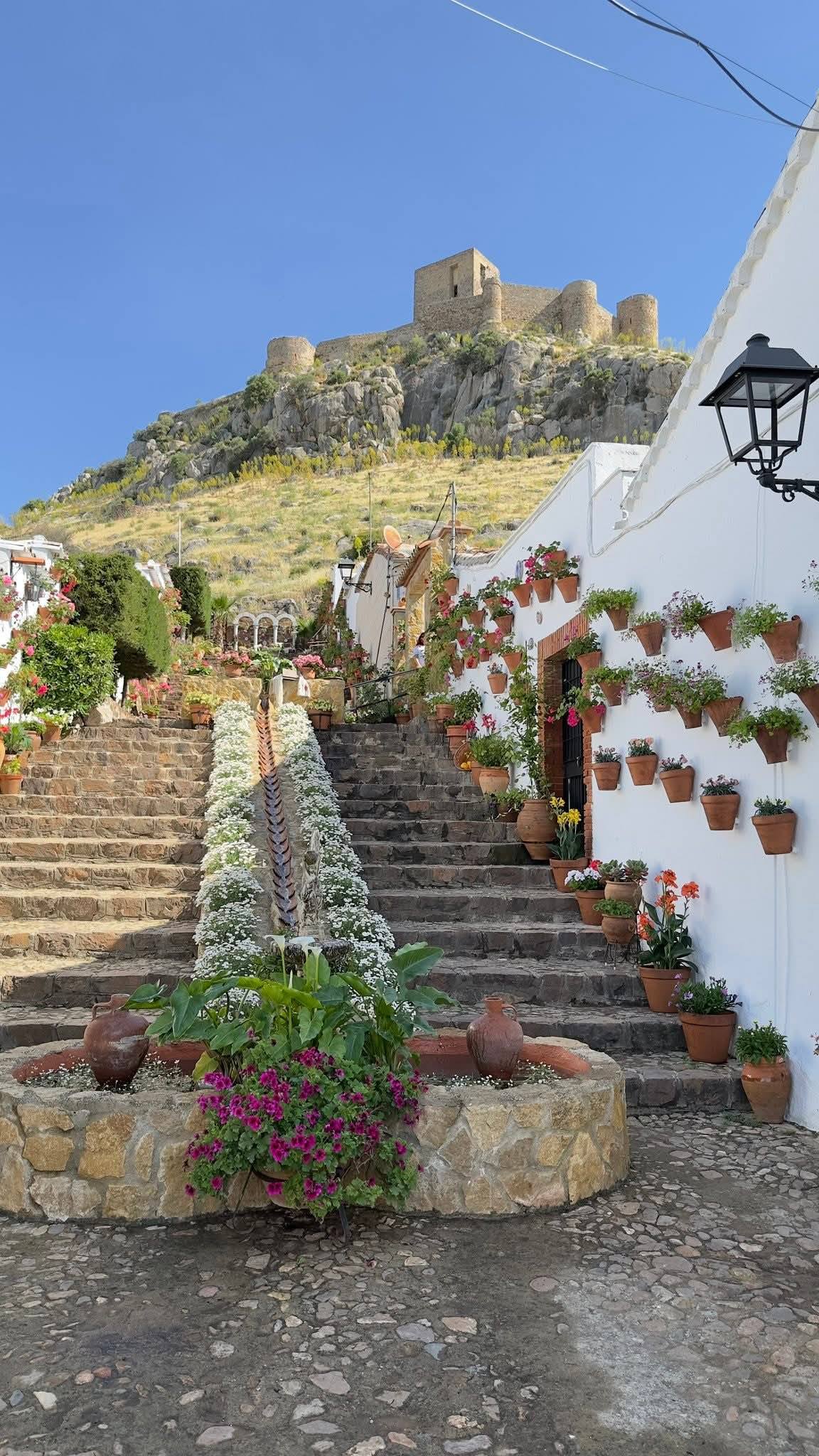 La Diputación da a conocer los ganadores del XI Concurso de Patios, Rincones y Rejas de la Provincia de Córdoba
