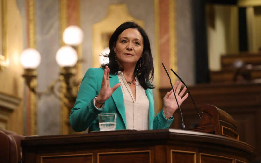 CRESPÍN LAMENTA QUE EL PP SE “PONGA DE PERFIL” PARA ERRADICAR LAS TERAPIAS DE CONVERSIÓN LGTBI Y ANUNCIA MOCIONES PARA “RETRATAR” A DIPUTACIÓN Y AYUNTAMIENTOS