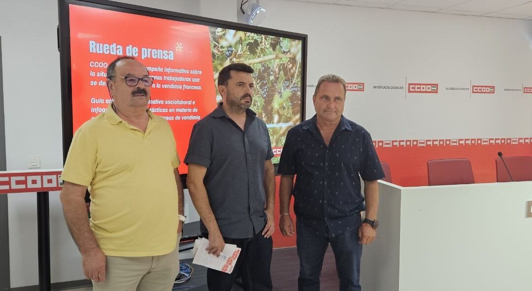CCOO pide al empresariado andaluz que “imite” el modelo laboral de la vendimia francesa, que moviliza a 14.500 personas, 10.800 procedentes de Andalucía