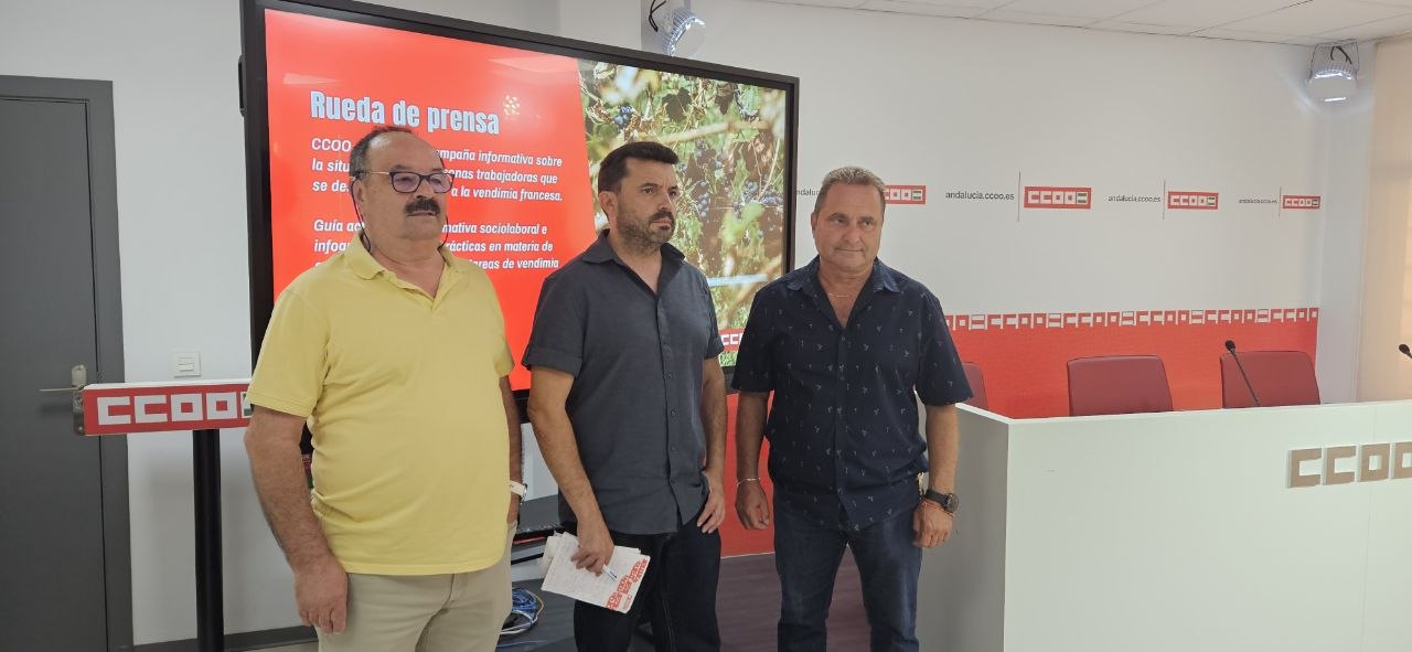 CCOO pide al empresariado andaluz que “imite” el modelo laboral de la vendimia francesa, que moviliza a 14.500 personas, 10.800 procedentes de Andalucía