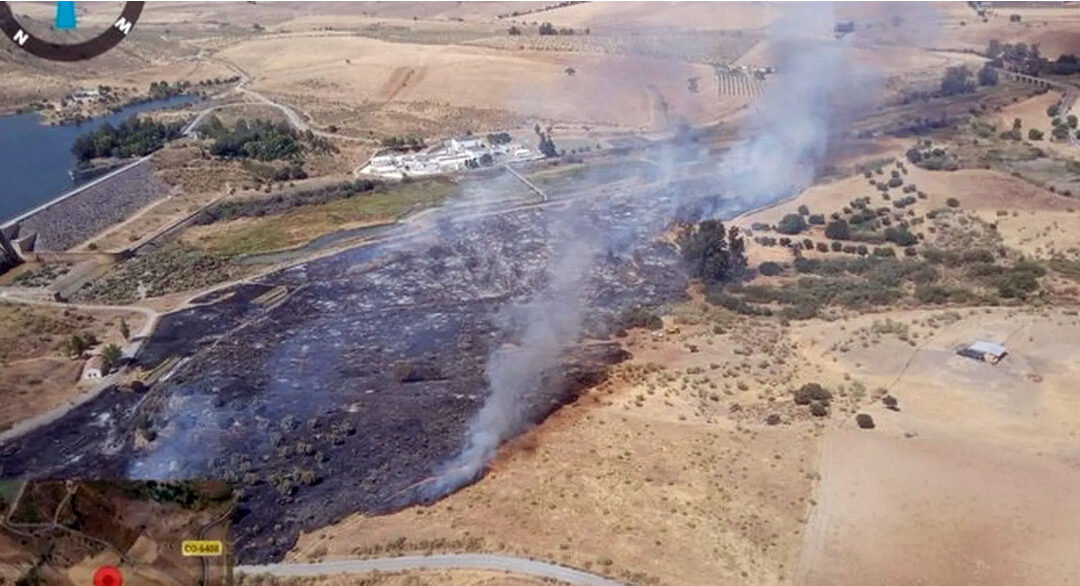 Un incendio forestal junto al embalse de Sierra Boyera moviliza al Infoca en Belmez