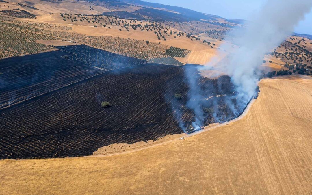 Incendio forestal en La Castilleja moviliza un amplio dispositivo del Plan Infoca en Peñarroya-Pueblonuevo