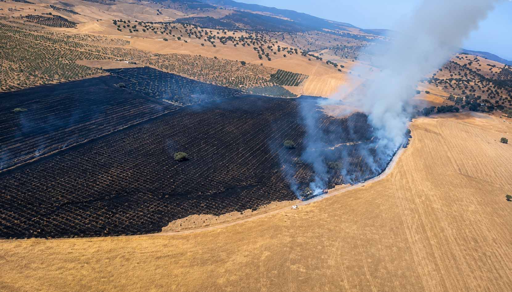 Incendio forestal en La Castilleja moviliza un amplio dispositivo del Plan Infoca en Peñarroya-Pueblonuevo