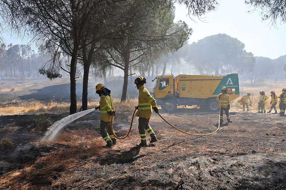 29 municipios cordobeses en zona de riesgo siguen sin un plan homologado contra incendios forestales
