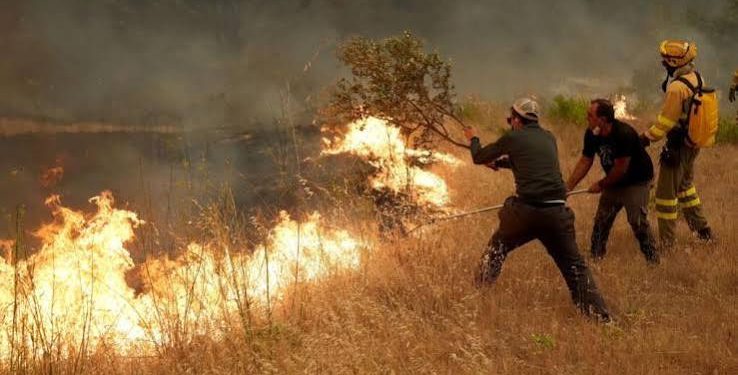 El fuego y la indiferencia: Madrid arde mientras se chantajea a quienes lo apagan