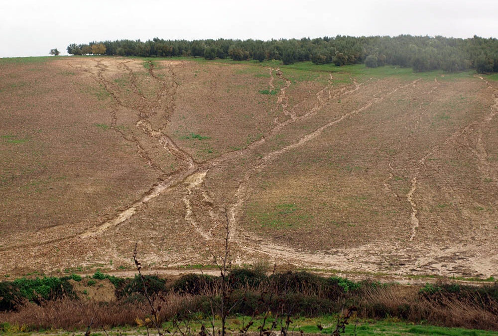 El IAS-CSIC refuerza su compromiso con la conservación del suelo frente al cambio climático y la desertificación