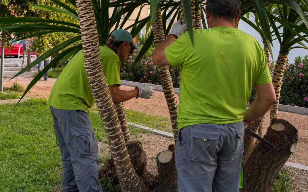 El alumnado de «Guadiato Inclusivo» realiza prácticas de jardinería en espacios verdes de Peñarroya-Pueblonuevo