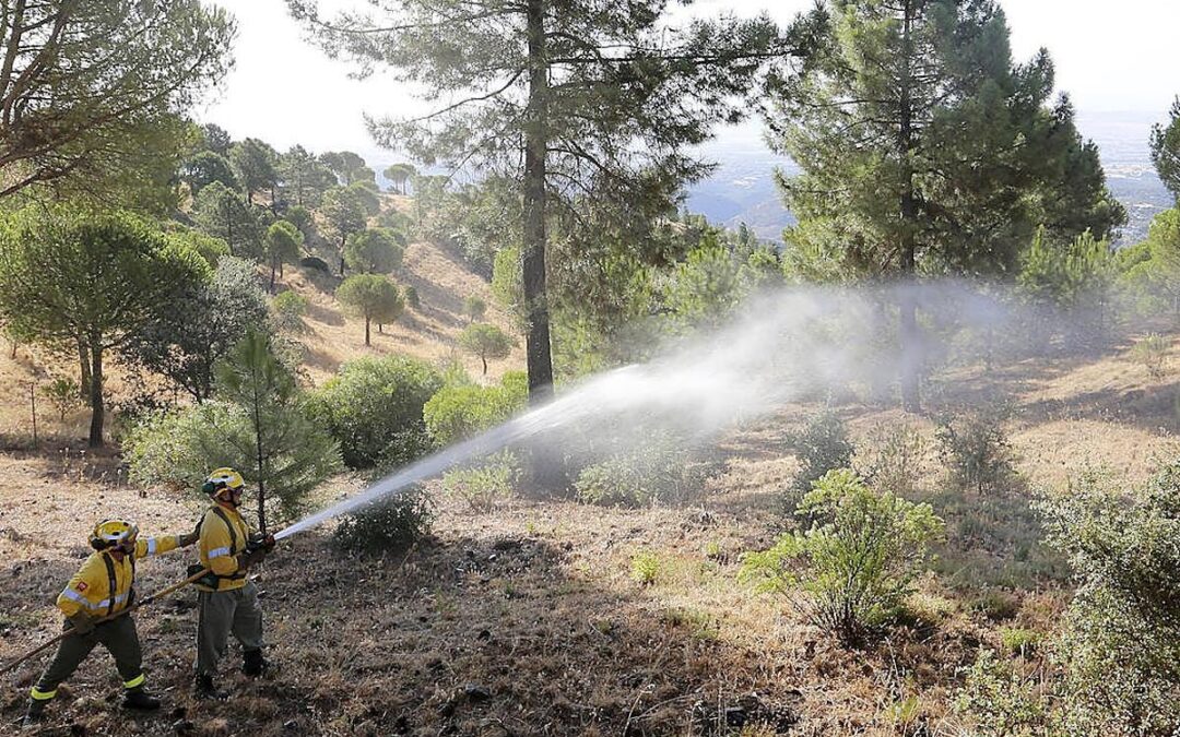 CCOO reclama más inversión en prevención ante el aumento del riesgo de incendios forestales